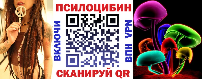 Купить где  Яхрома  Псилоцибиновые грибы Psilocybe 